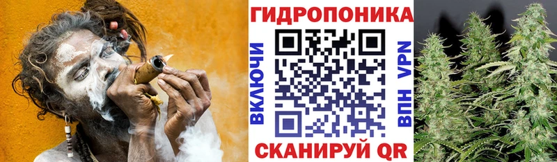 Какие есть наркотики Шелехов Марихуана  Псилоцибиновые грибы  ГАШ  МЕГА зеркало  КОКАИН  А ПВП  Мефедрон 