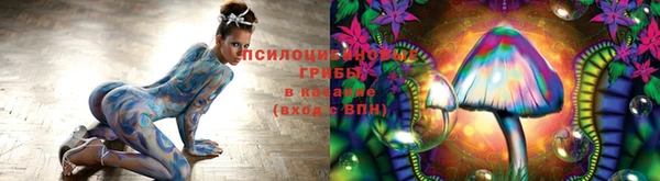 MDMA Медногорск