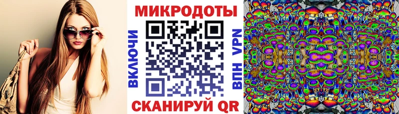 дарк нет клад  что такое   Шелехов  Псилоцибиновые грибы Psilocybine cubensis 
